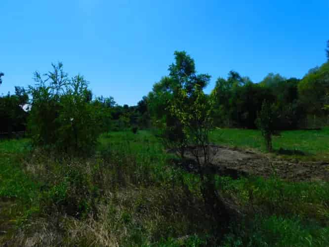 Váckisújfalui eladó telek, T040507