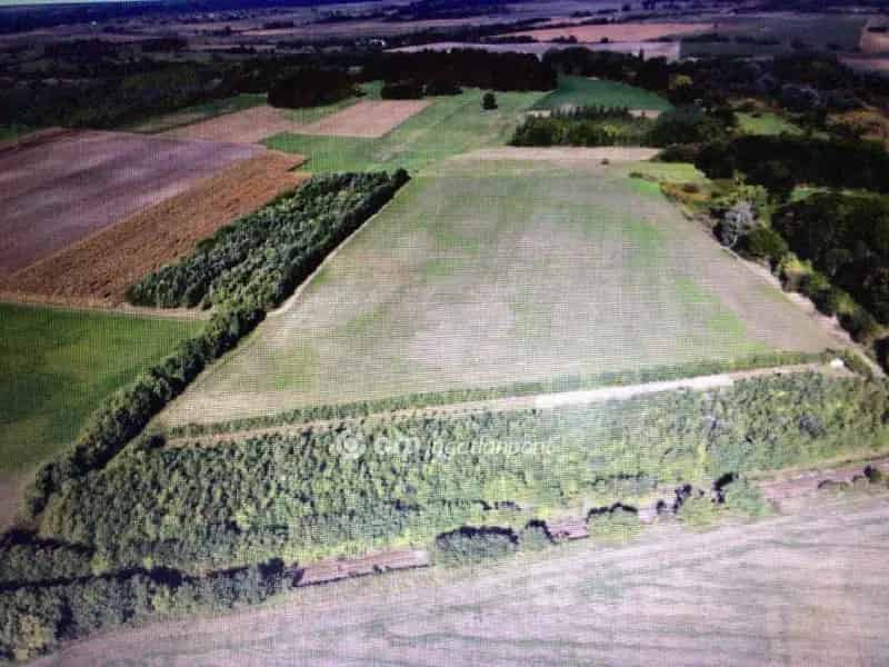 Telek Kiadó , Dabasi járás, Közép-Magyarország