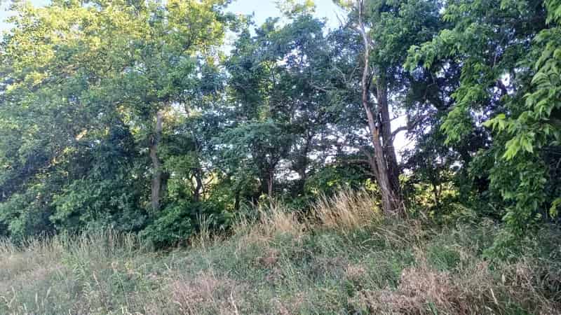 Fóti eladó telek napelem park létesítésére alkalmas