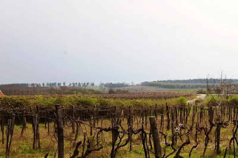 Telek Kiadó , Balatonfüredi járás, Dunántúl