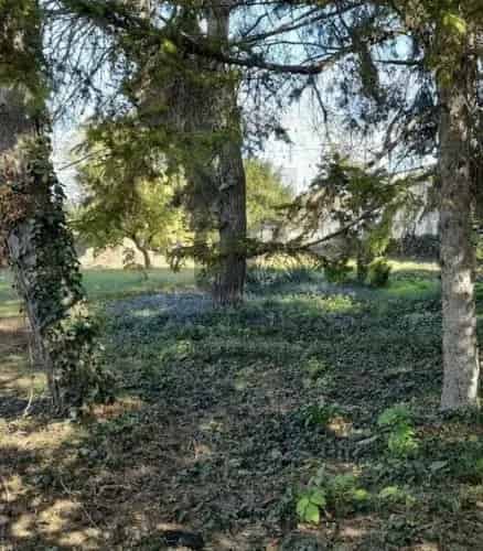 Mogyoródi eladó telek, T039518