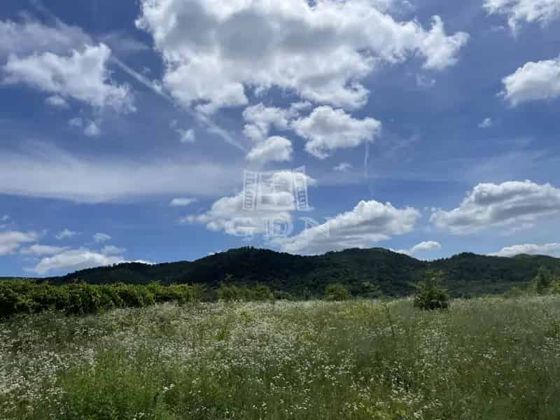 Telek Kiadó , Budakeszi, Közép-Magyarország