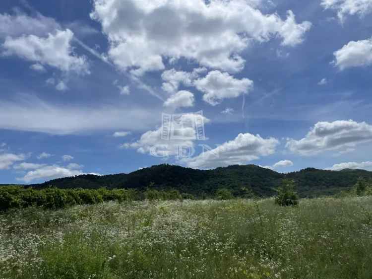 Telek Kiadó , Budakeszi, Közép-Magyarország