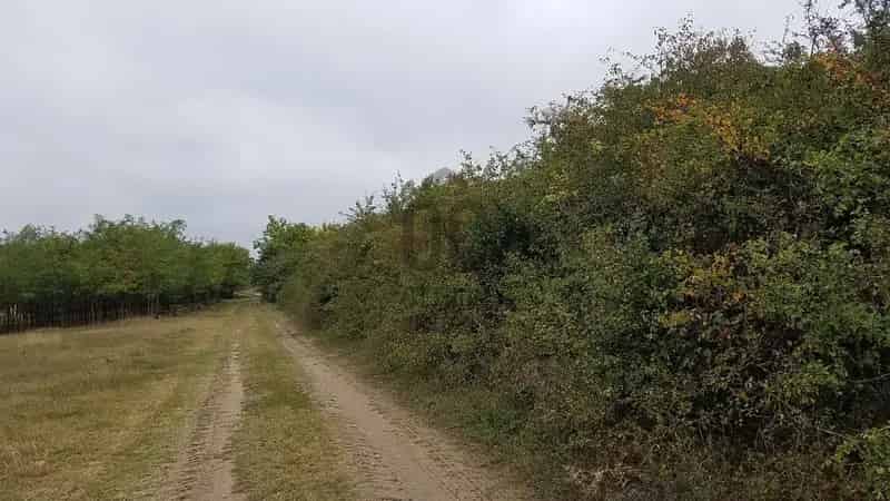 Magyaralmás Telek Eladó 1625 m2 Lf 2 Besorolás
