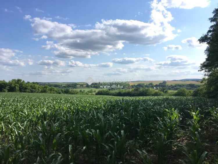 Telek Eladó , Kajászó, Dunántúl