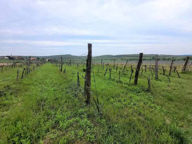 Telek Kiadó , Balatonfüredi járás, Dunántúl