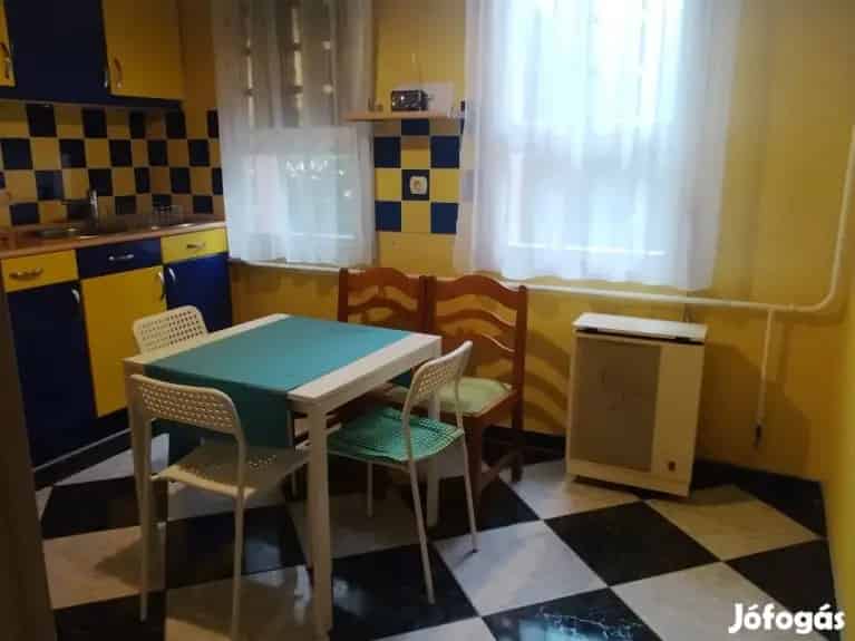 Földszinti Lakás üzlettel és garázzsal Törökszentmiklóson
