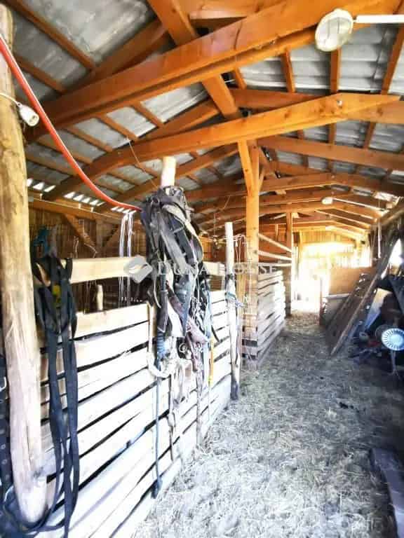 Örkény tanya eladó 24 hektár 80nm ház istállóval