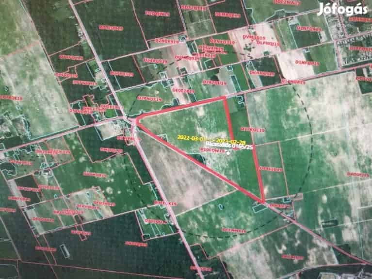 Bácsszőlős külterületén 72,5 Ha /22 AK/Ha/ kiváló minőségű szántó elad - Bácsszőlős, Telek, föld - Jófogás Ingatlan