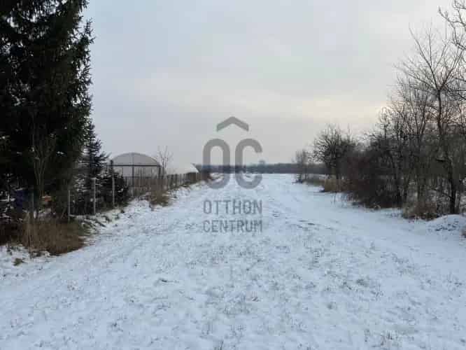 Jándi eladó telek 3182 m2 aszfaltút mellett