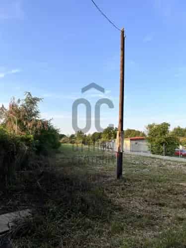 Ceglédi eladó telek, T039025