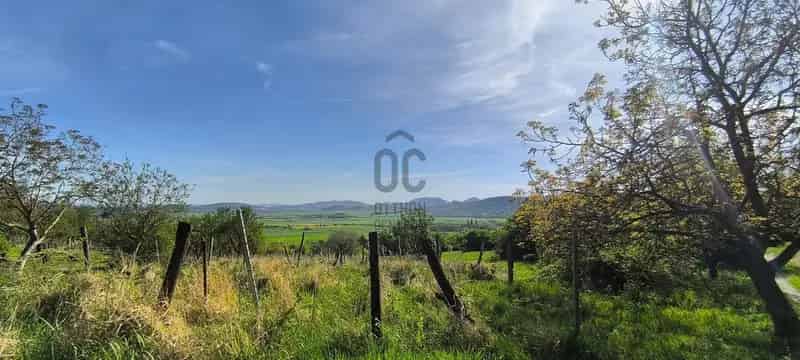 Telek Kiadó , Tapolcai járás, Dunántúl