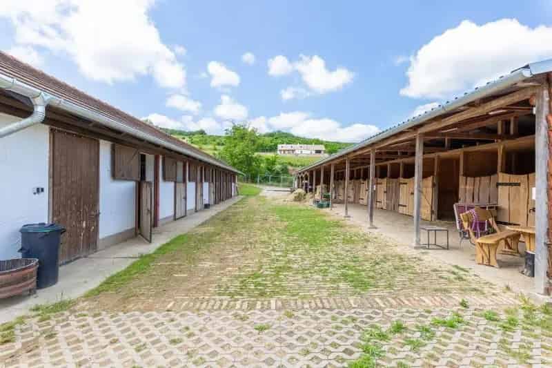 Telek Kiadó , Szekszárdi járás, Dunántúl