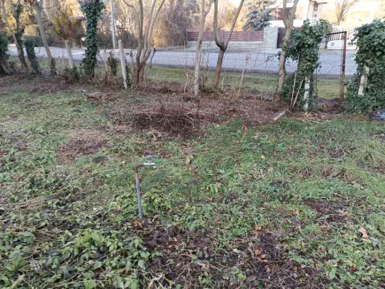 Telek Kiadó , Dunabogdány, Közép-Magyarország