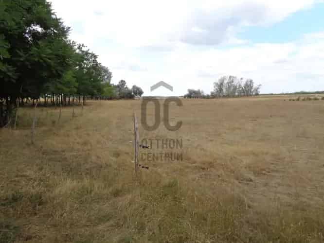 Bócsai eladó tanya, H505532