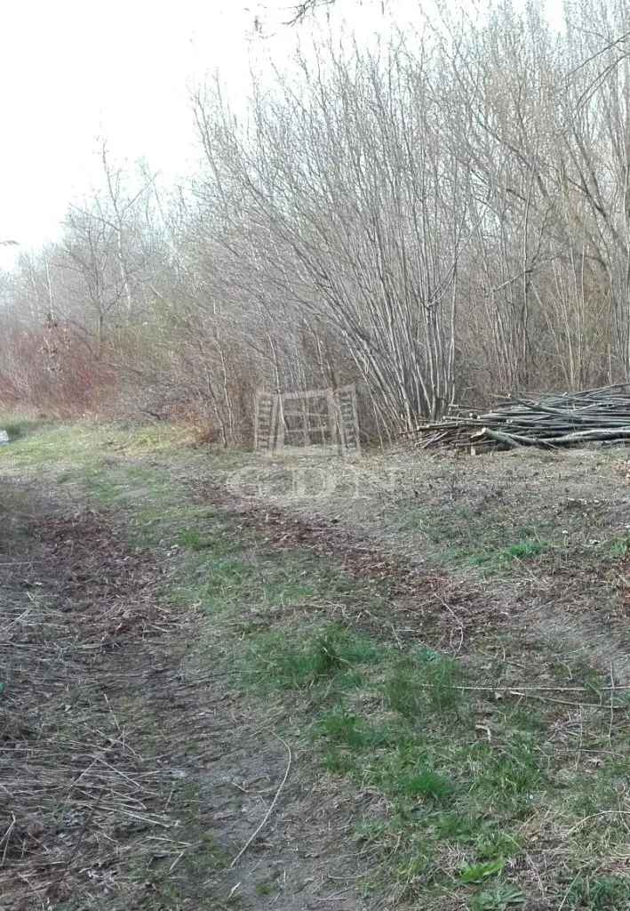 Telek Kiadó , Ráckevei járás, Közép-Magyarország