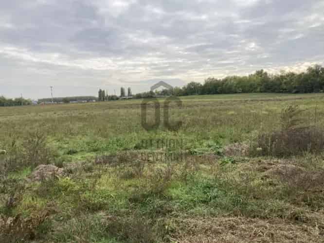 Kecskeméti eladó mezőgazdasagi ingatlan, M0002748
