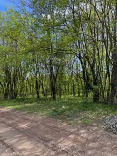 Kismarosi eladó telek, T035806