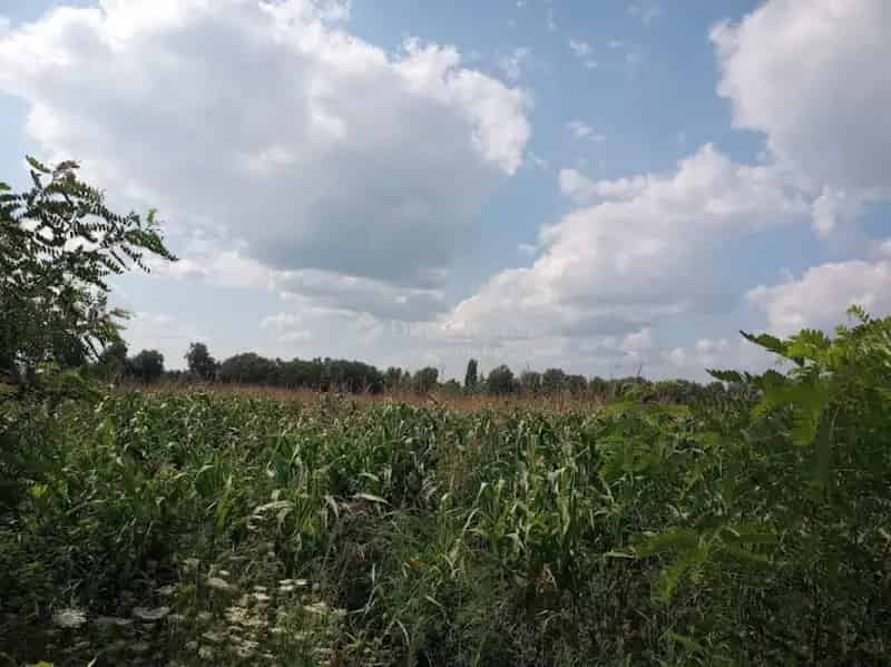 Telek Kiadó , Szigetszentmiklósi járás, Közép-Magyarország