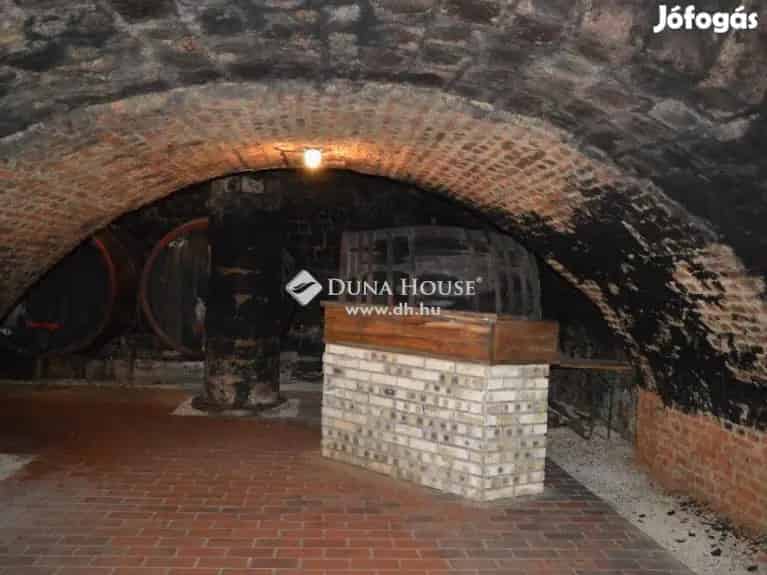 Tokaji eladó 300 nm-es ház #4027666 - Tokaj, Tanya - Jófogás Ingatlan