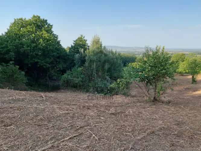 Bazsi eladó telek 4521m2 Sümegi Vár kilátással