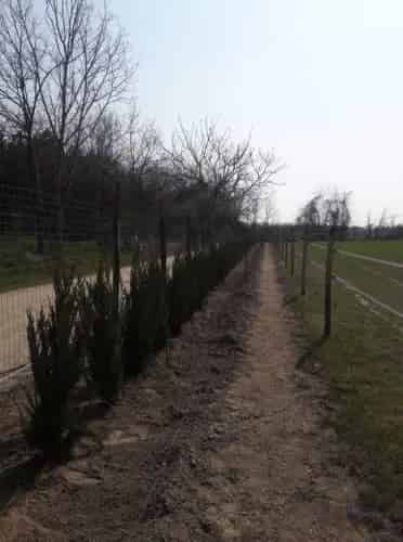 Gödi eladó mezőgazdasagi ingatlan, M0002754