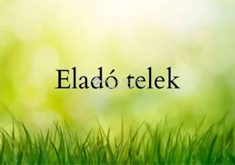 Telek Eladó , Szabadkígyós, Alföld és Észak