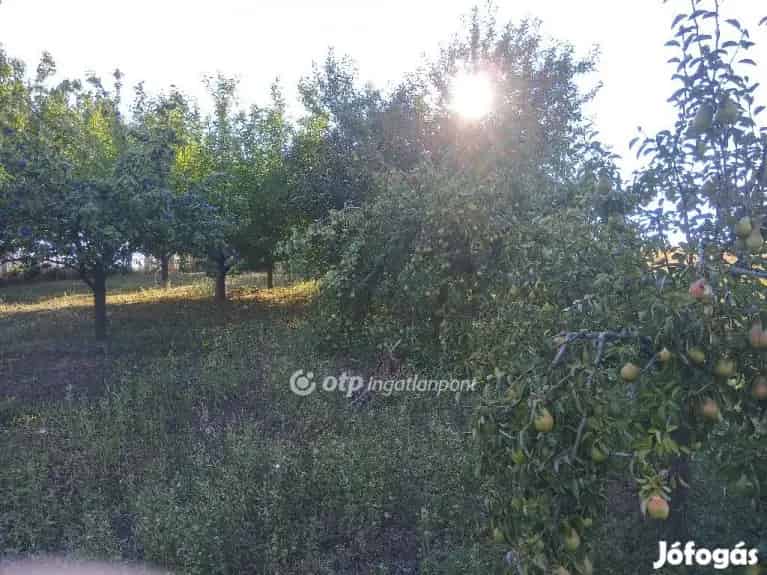 Dombóvár Szőlőhegy belterületén 1567 nm gyümölcsös eladó! - Dombóvár, Telek, föld - Jófogás Ingatlan