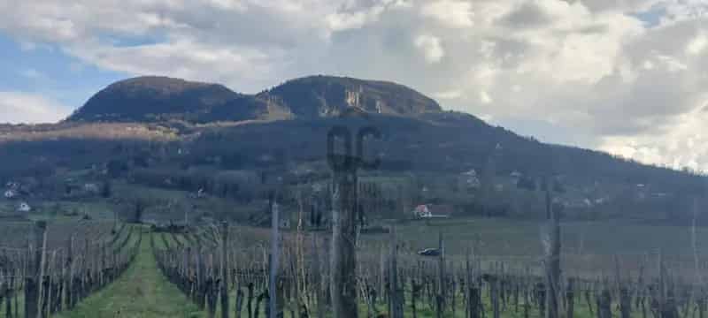 Badacsonytomaji eladó telek, T039796