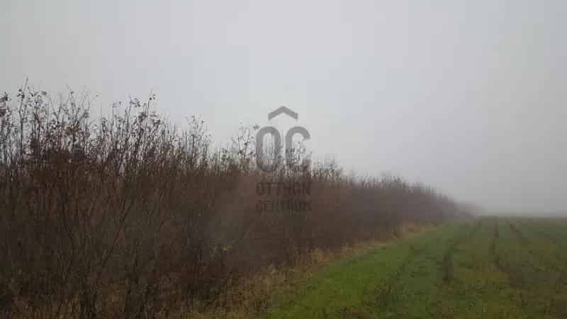 Márokpapii eladó mezőgazdasagi ingatlan, M0001141