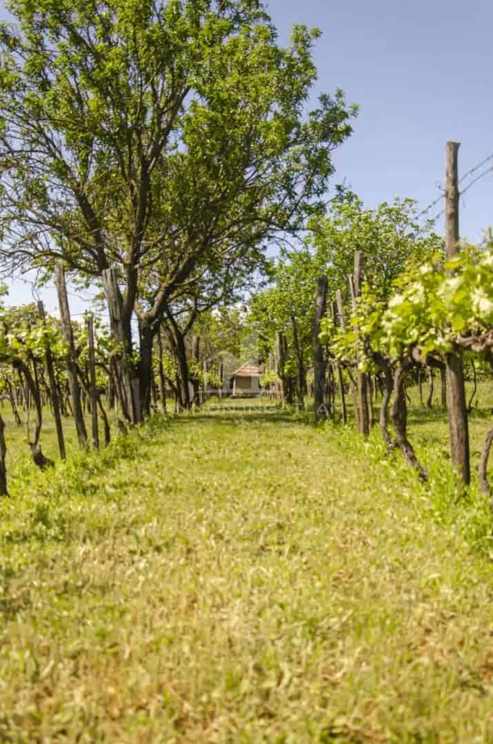Ház Kiadó , Balatonfüredi járás, Dunántúl