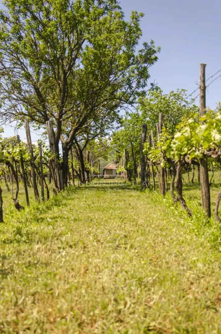 Ház Kiadó , Balatonfüredi járás, Dunántúl