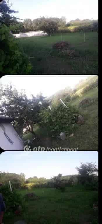 Telek Kiadó , Nyíregyházi járás, Alföld és Észak