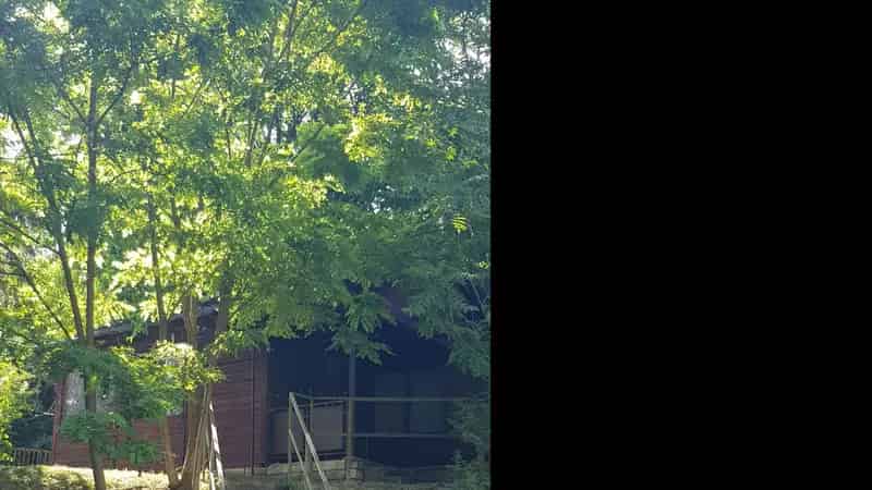 Ház Kiadó , Dunaújvárosi járás, Dunántúl