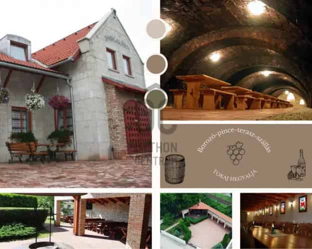 Tokaji eladó kereskedelmi ingatlan, UZ013533