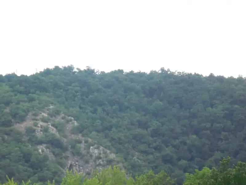 Telek Kiadó , Budakeszi járás, Közép-Magyarország