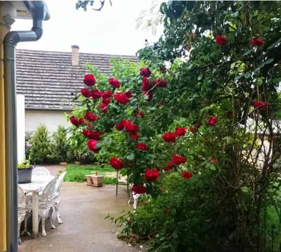 Szóládi eladó családi ház, H505623