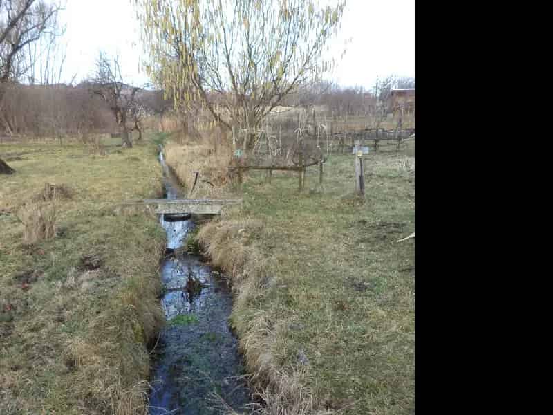 Telek Kiadó , Várpalotai járás, Dunántúl