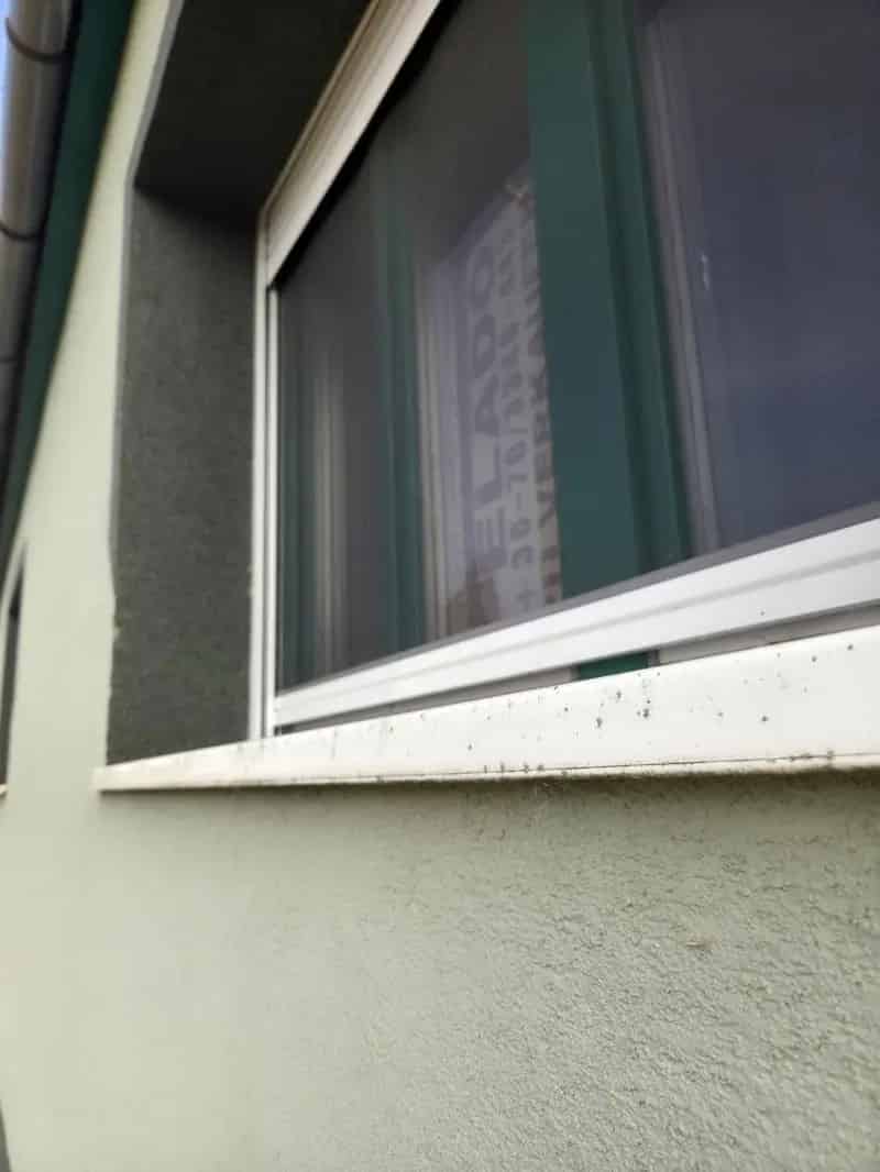 Ház Kiadó , Csátalja, Alföld és Észak