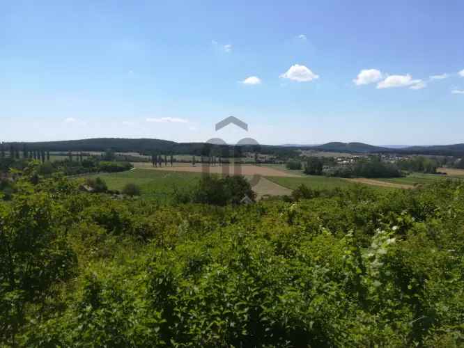Pécselyi eladó mezőgazdasági ingatlan panorámával