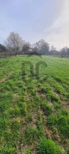 Révfülöpi eladó telek, T039776