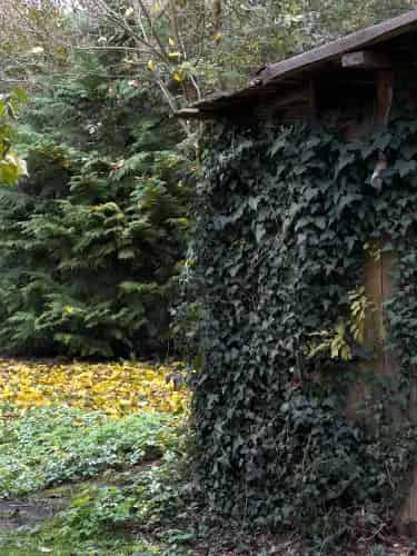 Szombathelyi eladó családi ház, DHZ060459
