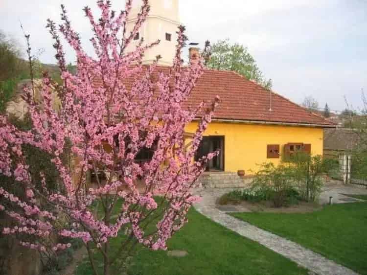 Eladó Ház, Tokaj, Borsod-Abauj-Zemplen, Magyarország (MD34645), Mondinion.com - Nemzetközi Ingatlan Portál