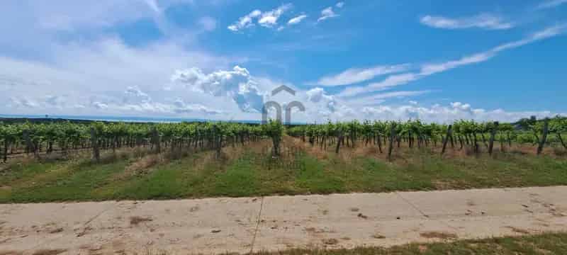 Tagyoni eladó mezőgazdasagi ingatlan, M0002844
