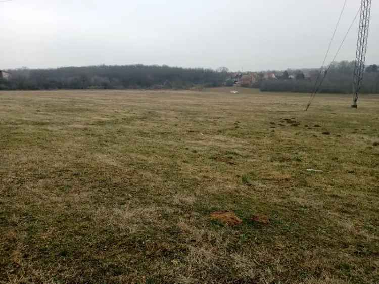 Telek Kiadó , Őrbottyán, Közép-Magyarország