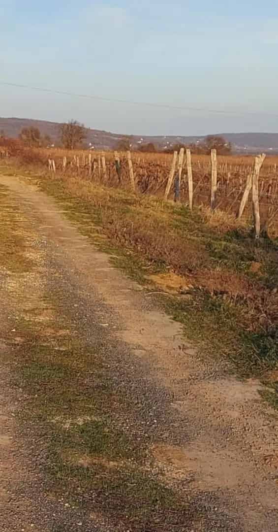 Telek Kiadó , Balatonfüredi járás, Dunántúl