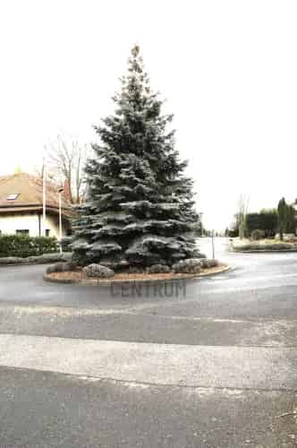 Budajenői eladó telek, T039294