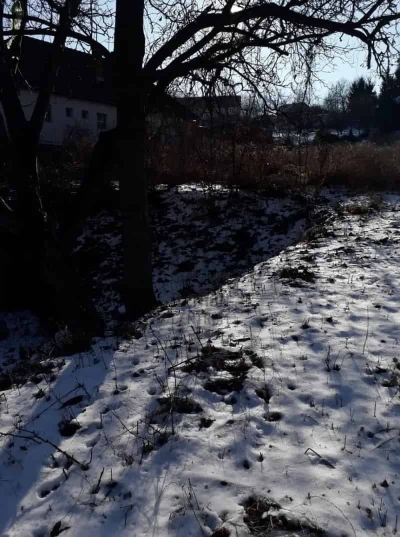 Szekszárd Telek Eladó 2004 m2 vagy 3650 m2
