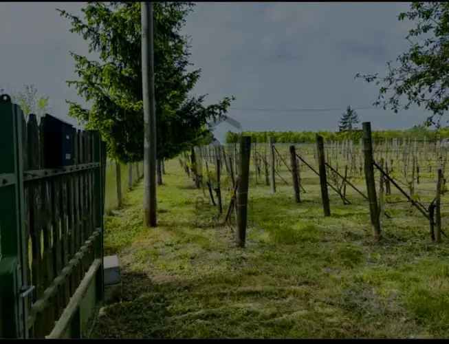 Kőszegi eladó telek, T039924