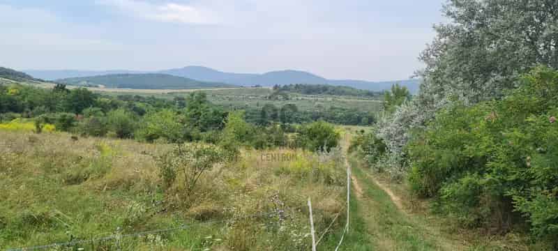 Telek Kiadó , Budapest, Közép-Magyarország